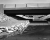 Cattle Under I-89 Bridge at Cattle Pass