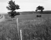 Field Next to I-89