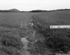 Vast Field Next to I-89