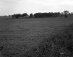 Farm Pasture with Fence