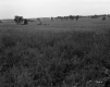 Wright Property on Hinesburg Road