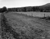 Field with Fence Near Highway 15A