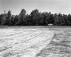 Automobile and Fence at Highway 15A