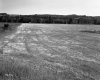 View of Field Next to Highway 15A