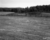 Fence on Field Near Highway 15A