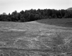 Field Near Highway 15A