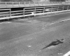 Broken Guardrail on I-89 at Accident Site