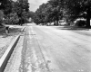 Construction on Road Lined with Houses