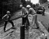 Guardrail Construction with Workers