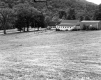 Complete Olstead Property