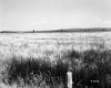 Field and Fence Near I-89