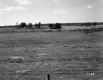 Field with Fence: Site of Future I-89 Construction