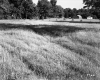 Field with Buildings Near Future I-89 Construction Site