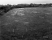 Field Lined by Trees and Fence