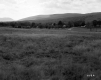 View of Lawrence Land for Sale