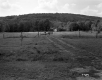 Field with Fence and Trees