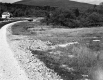 Carrier Property Driveway