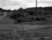 Carrier Property: Building and Road