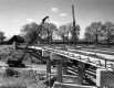 Bridge Construction with Building and Trees