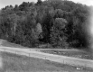 Wooded Hill above Dirt Road