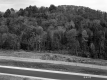 Wooded Hill behind Dirt Road