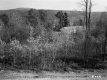 Dwelling behind Tall Plants