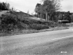 Houses Behind Paved Road