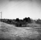Grassy Hill and Electrical Poles