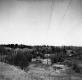 Hill with Electrical Poles