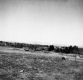 Grassy Field