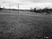Field and Volkswagen Bus