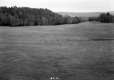 Field with Fence