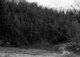 Dirt Road and Wooded Hill