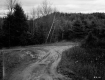 Fork in Dirt Road