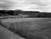Field by The Paddock