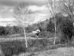 Wooden House on Hill