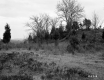 Field and Small Hill
