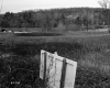 Sign in Field