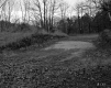 Dirt Patch