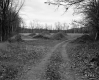 Dirt Road Through Field
