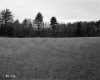 Grassy Field