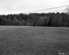 Field with Electrical Wires