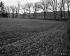 Tire Tracks in Field