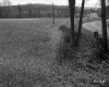 Field Along Paved Road