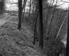 Slope Next to Dirt Road