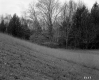 Grassy Slope