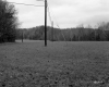 Field with Electrical Wires