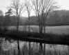 Creek next to Field