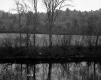 Creek next to Field