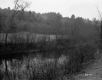 Creek and Electrical Wires
